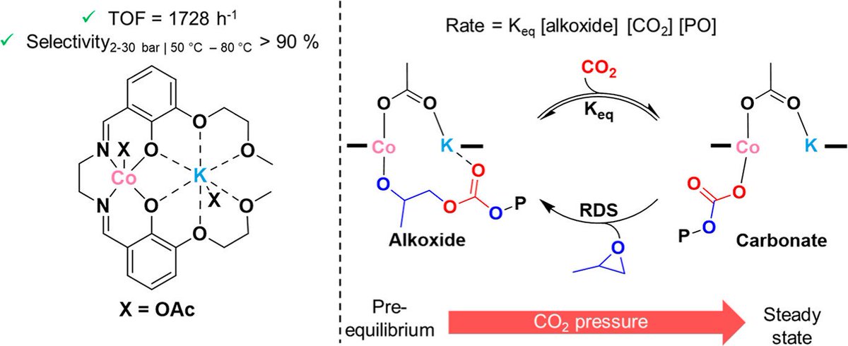Check out our latest paper on 'Quantifying CO2 Insertion Equilibria for Low-Pressure Propene Oxide and Carbon Dioxide Ring Opening Copolymerization Catalysts' out now in @J_A_C_S! Congratulations to @kateisenhardt, @franfiorentini and Wouter!🥳🙌 pubs.acs.org/doi/10.1021/ja…