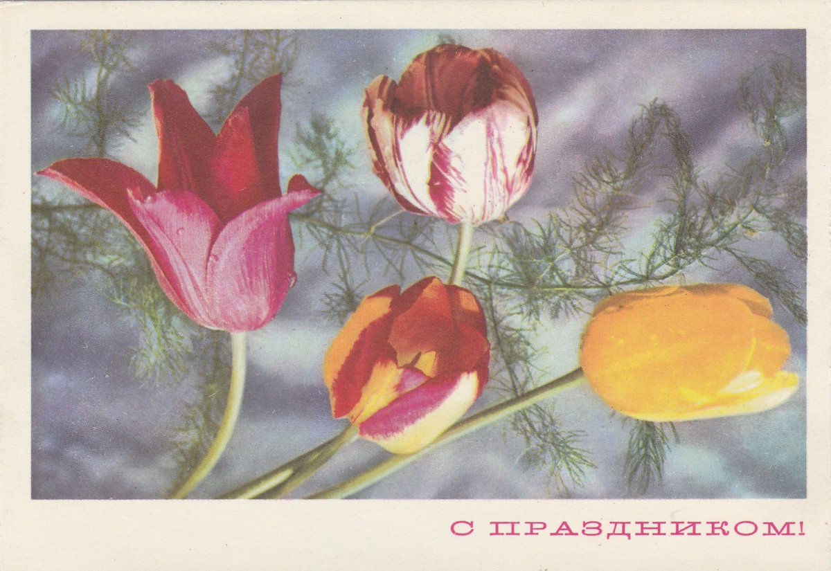 'Happy holiday!' Postcard by G. Kostenko (1969)