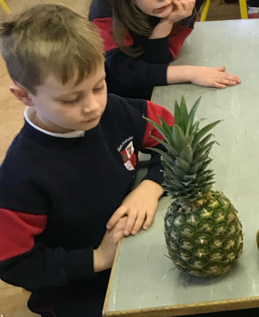 A pineapple??? I was hoping for a donation 😂 You can still donate to Walking the Walk with As Darragh Did right here: idonate.ie/event/walkingt… Thank you 🙏