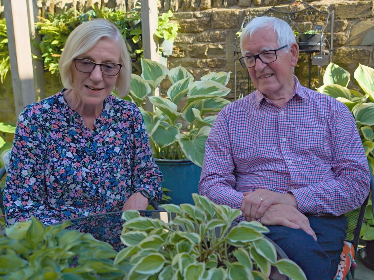 Richard and Sue Proctor are totally bonkers about hostas. That came through loud and clear on Friday night! What's more, they've just been awarded National Collection status for their miniature varieties which is great news 🤩 #Hosta #InMyGarden #GardenersWorld