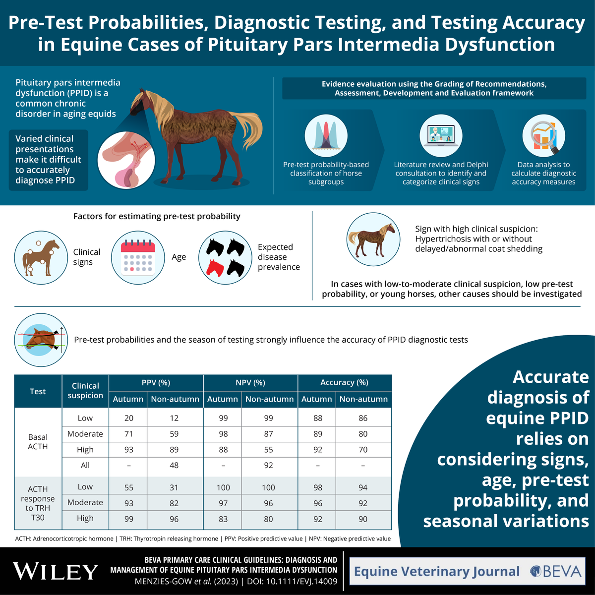 EVJltd's tweet photo. Four infographics are now available to illustrate the BEVA Primary Care Clinical Guidelines on the diagnosis and management of equine pituitary pars intermedia dysfunction (PPID).   

 🔗 https://t.co/oN8yNWgIKc

 🎧 Listen to our EVJ In Conversation podcast on the guidelines. https://t.co/YbnC6Ig88H