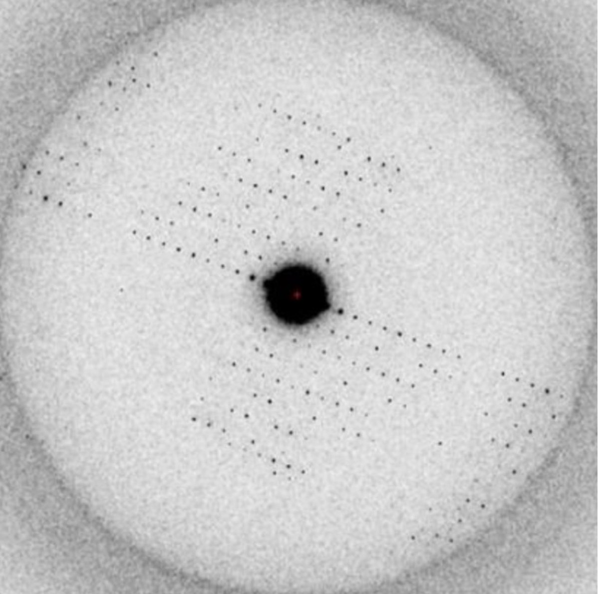 It is great to see the #MicroED field growing and gaining momentum. I am aware of 5 new PIs that were hired this year. I am proud to say that 4 of those talented individuals were postdocs from our lab & they are now off to start their own groups. So proud of their achievements 😁