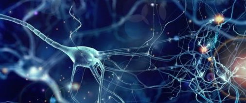 Crean un hidrogel que permite cultivar células neurales

omniprex.com/crean-un-hidro…