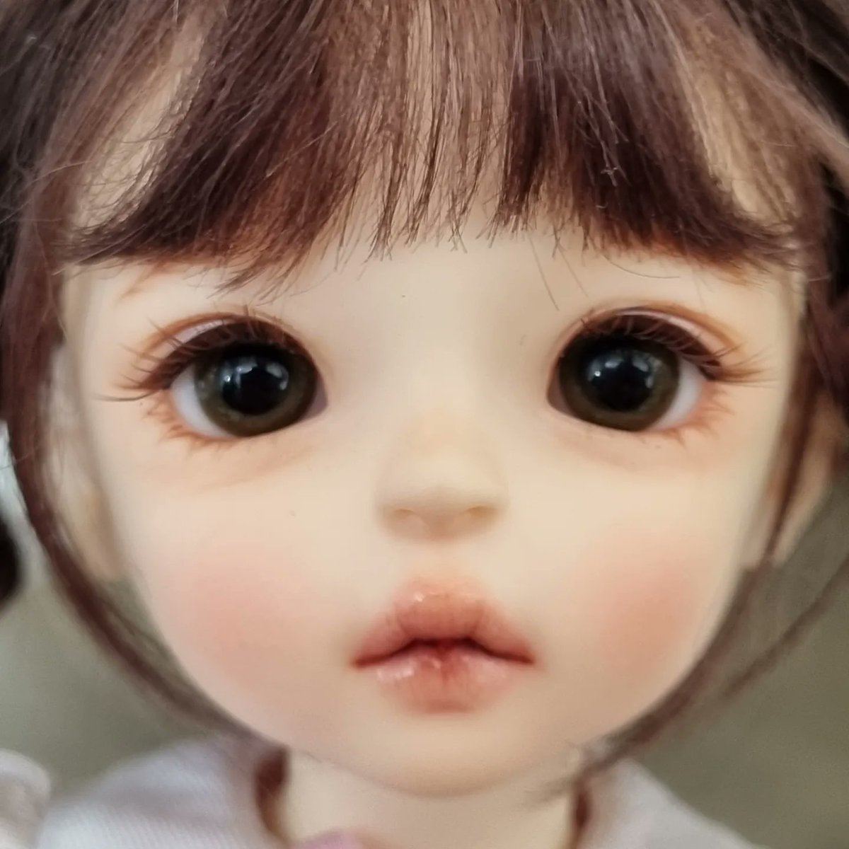 파코포코 tweet media