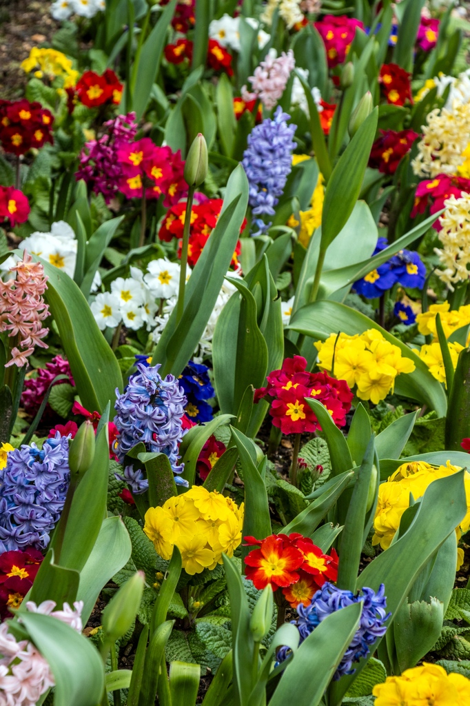 A burst of colour for your feed 💐 Our talented volunteer photographers braved the spring showers over the last month to bring you these stunning floral close ups!⁠ 📷National Trust/ Laurence Perry, Gary Cosham, Hugh Mothersole #NationalTrust #SpringFlowers