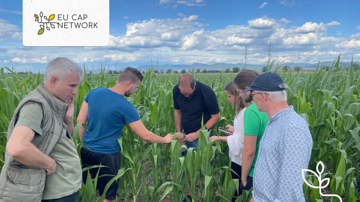 Meet Robert Dohál, a Slovak farmer on a soil-based networking mission. 🤝 

His participation in a brokerage event for #MissionSoil formed the start of new cooperations with @Bioeconomy Cluster

👉Read the story in the #Agrinnovation magazine here: bit.ly/43OsO4e