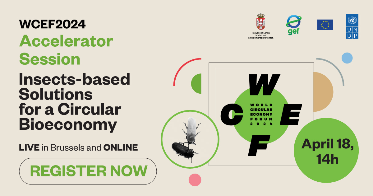 🐛🌍 How can insects contribute to achieving a #ZeroWaste vision? Did you know that larvae can biodegrade Styrofoam and reduce organic waste? Join the conversation at #WCEF2024 on April 18, 2024, 14:00-15:30 CEST (UTC+2) 🔗 Register →  lnkd.in/eWUbKDqR