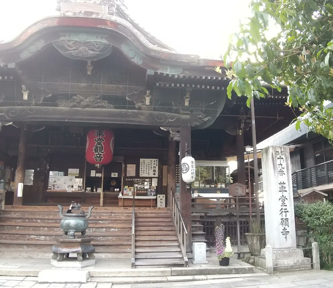 京都の革堂こと行願寺へお参りして来ました。革堂は、都七福神の寿老人のお寺です。また、さくらねこのお世話もされてて、にゃんこの御朱印も多いです。 #京都 #革堂 #行願寺 #都七福神 #寿老人 #さくらねこ #地域ねこ #ねこ #御朱印