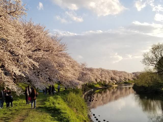 こんな桜の景色を見てみたいですね💦🌸

今日もどんより曇がありスッキリしない天気🌦️
ですが天候関係なしにして屋内倉庫本日も個サル開催致します😎

皆さん21時からエンジョイ個サルお待ちしております🙇‍♂️