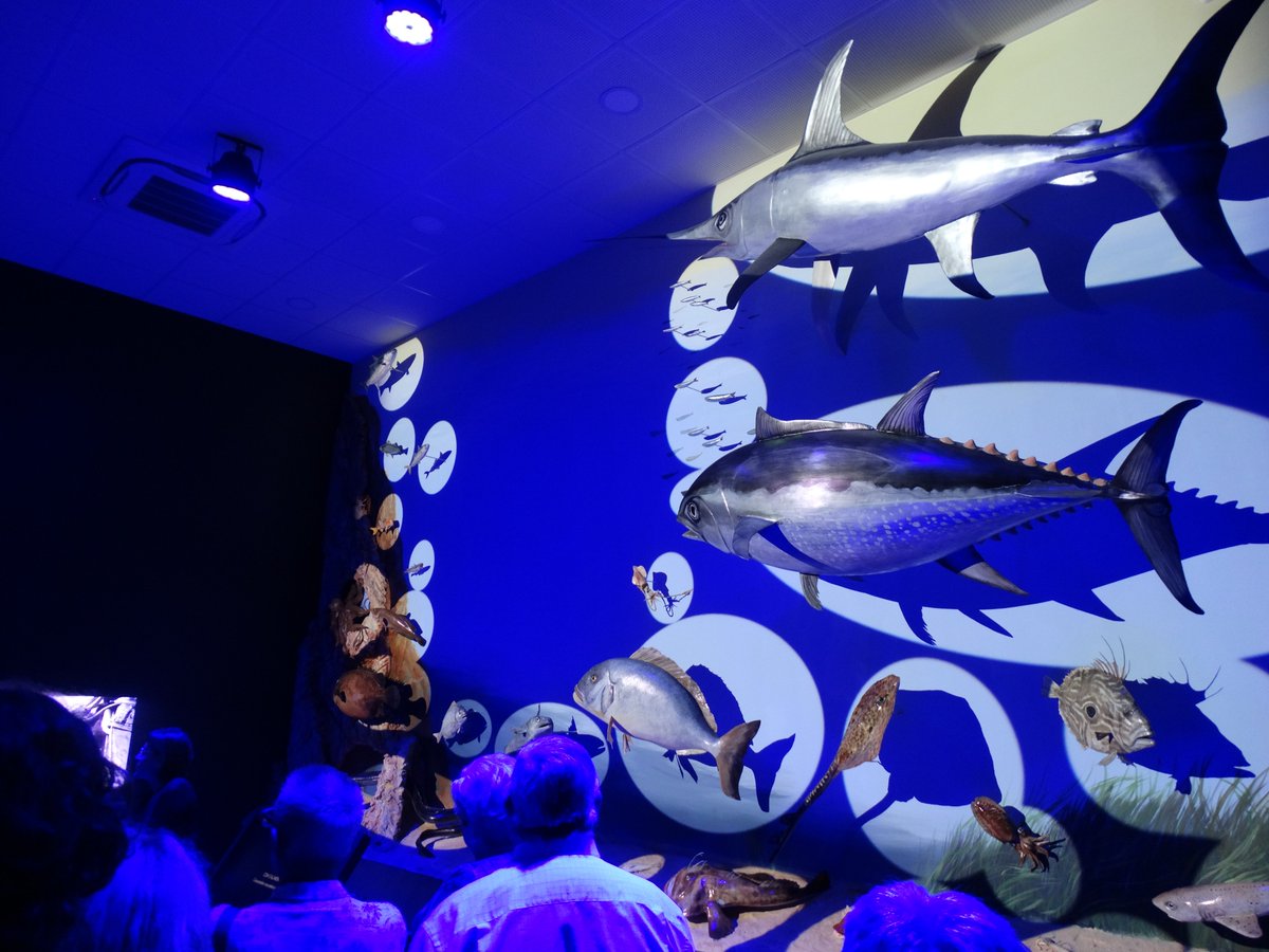 Voleu conèixer l'activitat de la Llotja del Peix 🐟i els oficis de la #mar🪝❓ Vine a l'Observatori Blau: El món de la #pesca al #Serrallo‼️ Adreçat a públic general Gratuït Reserves ➡️ museuport@porttarragona.cat 977 259 434 #Activitats #Agenda #museum