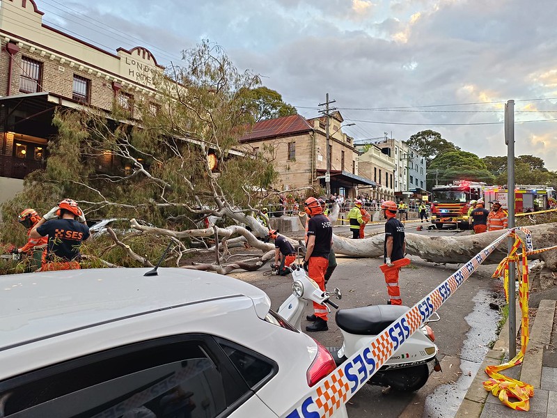 NSWSES tweet picture