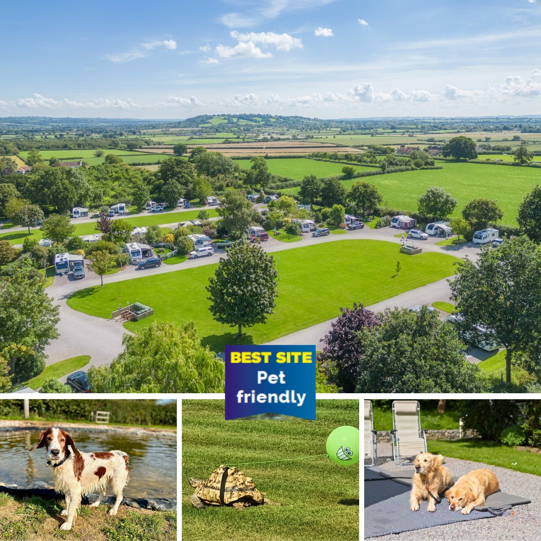 🥳Congrats to Old Oaks Touring & Glamping Park in Somerset 🎉named 'Best Pet Friendly Site' in the 2024 Top 100 Sites Guide! 👏🐶👏 😍 It's 5🌟 for EVERYONE at this adult only park where dogs get a field, pool, shower, treats, walks... tranquilparks.co.uk/parks/the-old-… #dogfriendlyuk