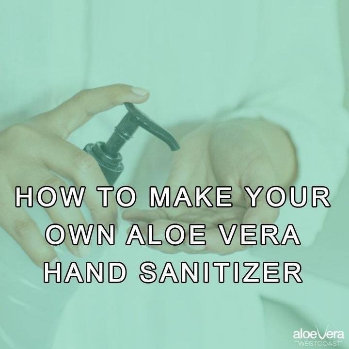 How To Make Your Own Aloe Vera Hand Sanitizer? Checkout our Blog Post 👉👉 conta.cc/30csWOr

#handsanitizer #sanitizer #diysanitizer #aloeverasanitizer #homemadesanitizer #coronavirus #covid19 #makesanitizer #aloeverawestcoast