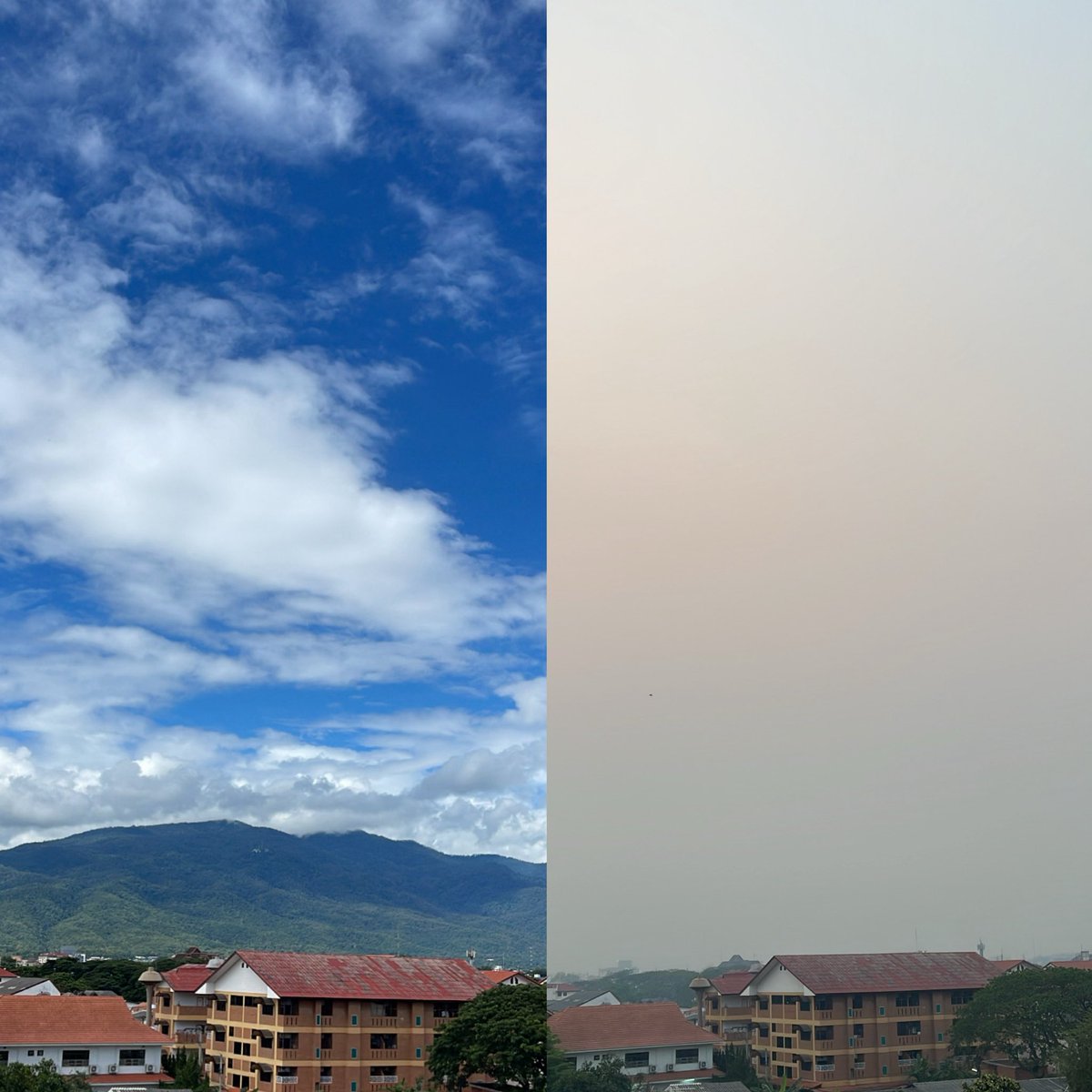 JackiePimp's tweet image. ถ้ายังไม่ชัดพอ ก็แบกให้หลังหักไปเลยค่ะอีเหี้ย  #ฝุ่นเชียงใหม่