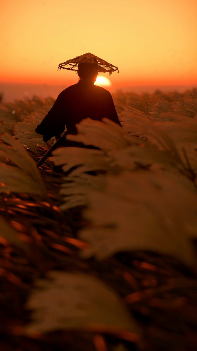 Ghost of Tsushima. 🌅🌾⛩️