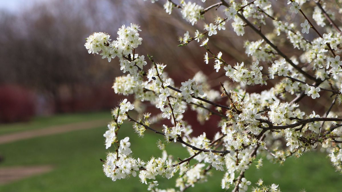 Spring has well and truly sprung. It's a great time to be around the lake 💙🌸