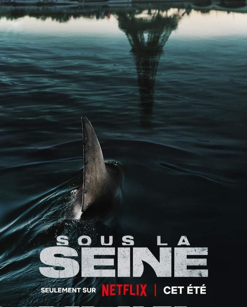 Saga "Requins au cinéma" - Page 2 GKtVTNiXYAATg8g?format=jpg&name=medium