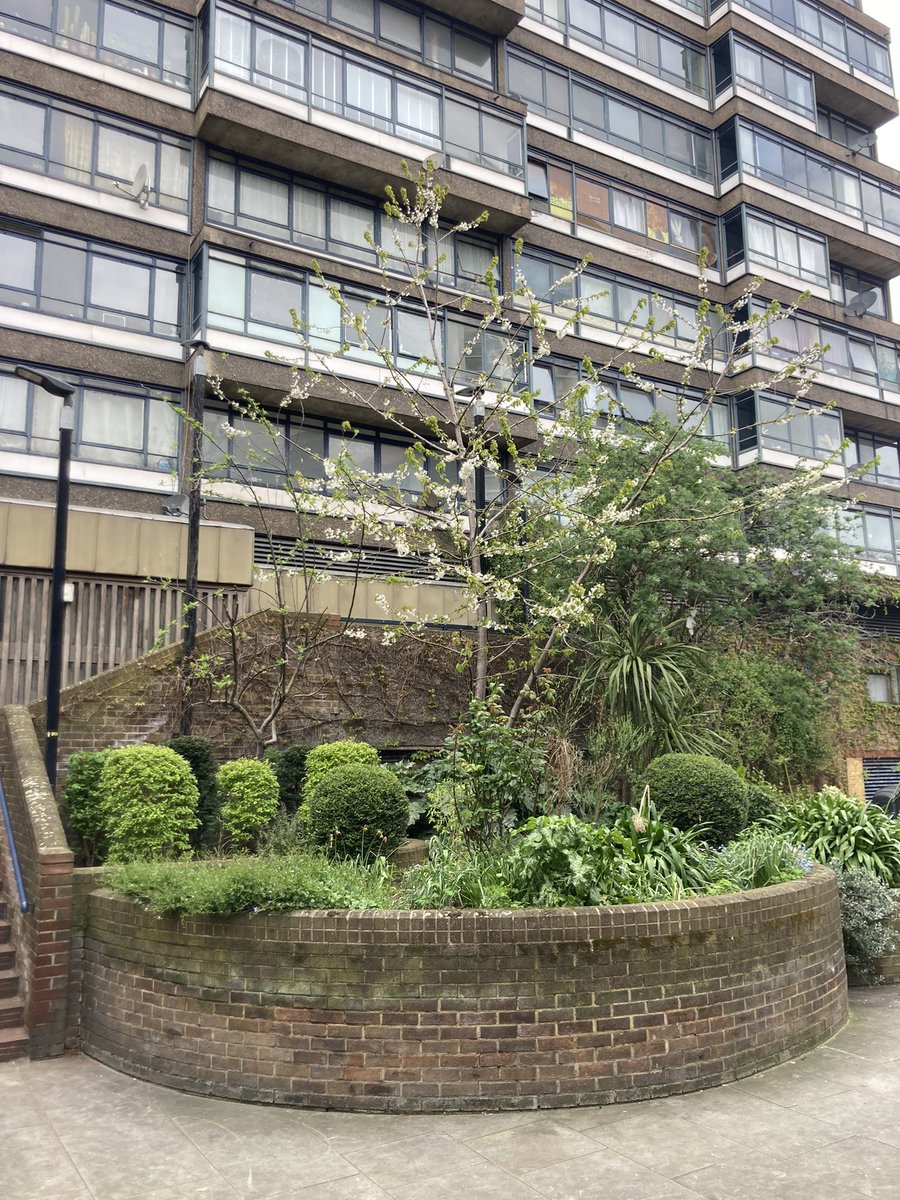 Richard Reynolds tweet media