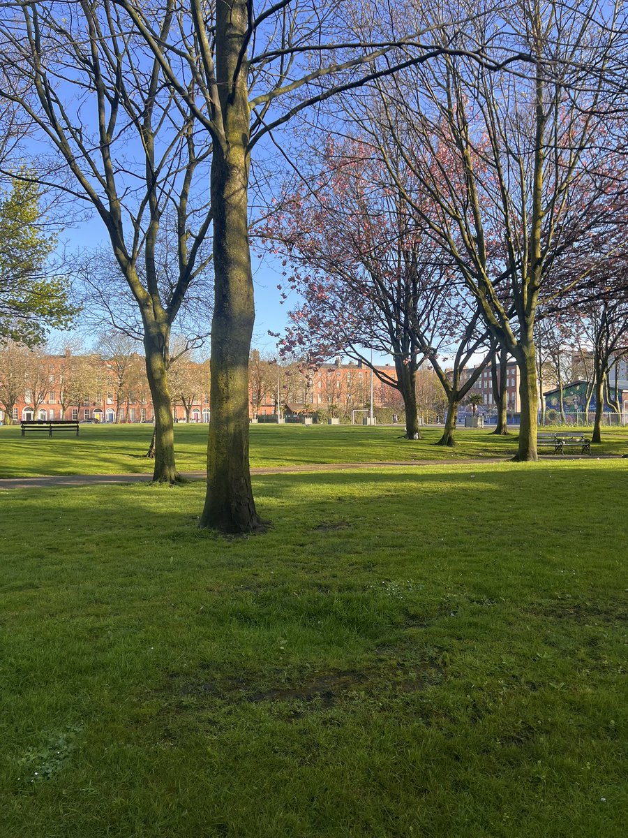 franceshumber's tweet photo. Oh what a beautiful morning…….🎶🎶🎶………..Day 100 of #100daysofwalking https://t.co/e45KkplaBU