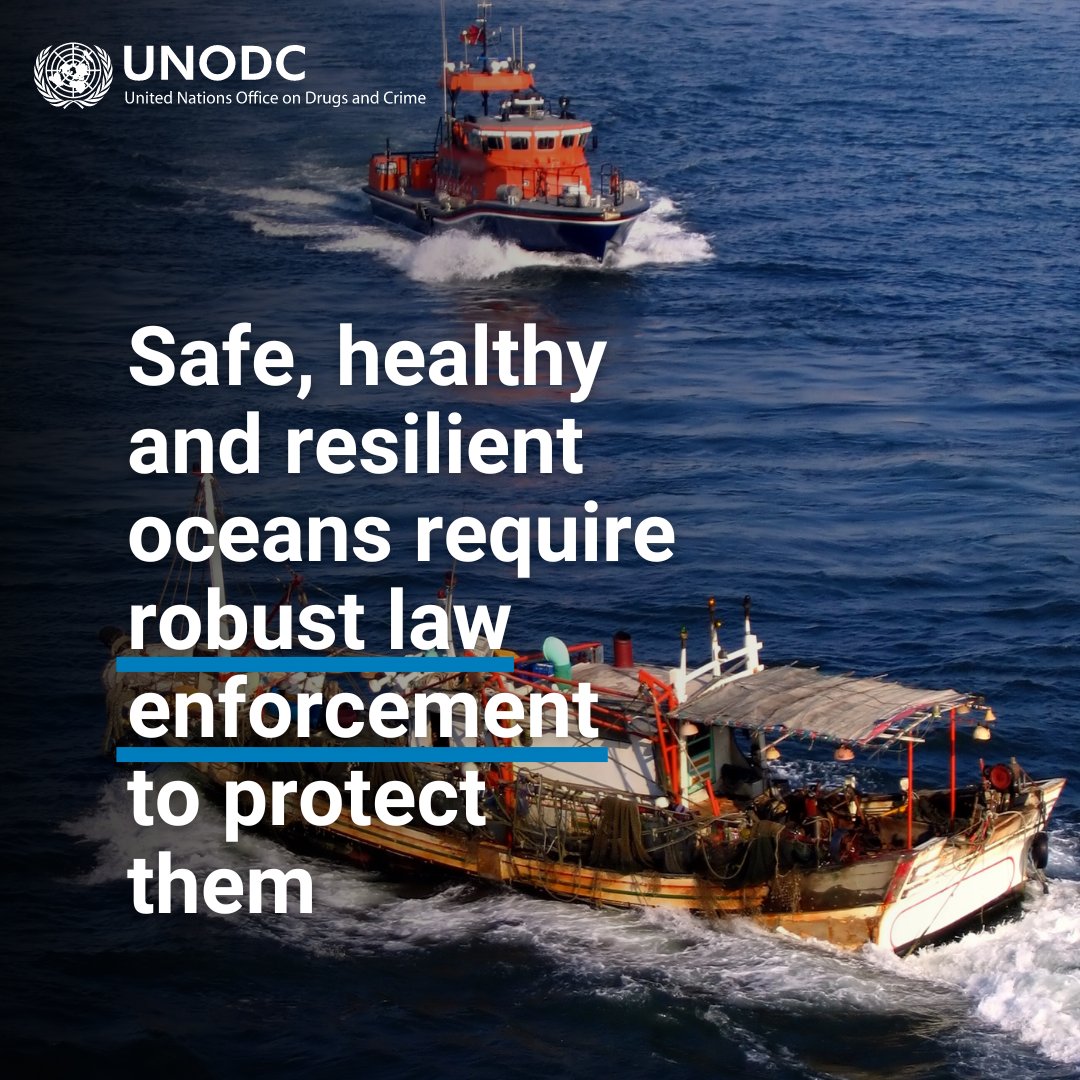 Crimes in the fisheries sector threaten ecosystems, drive overfishing, pollute oceans, harm coastal livelihoods and deprive States of sources of income. To feed the global population sustainably, we need an equitable ocean economy. #OceanDecade24 #endENVcrime