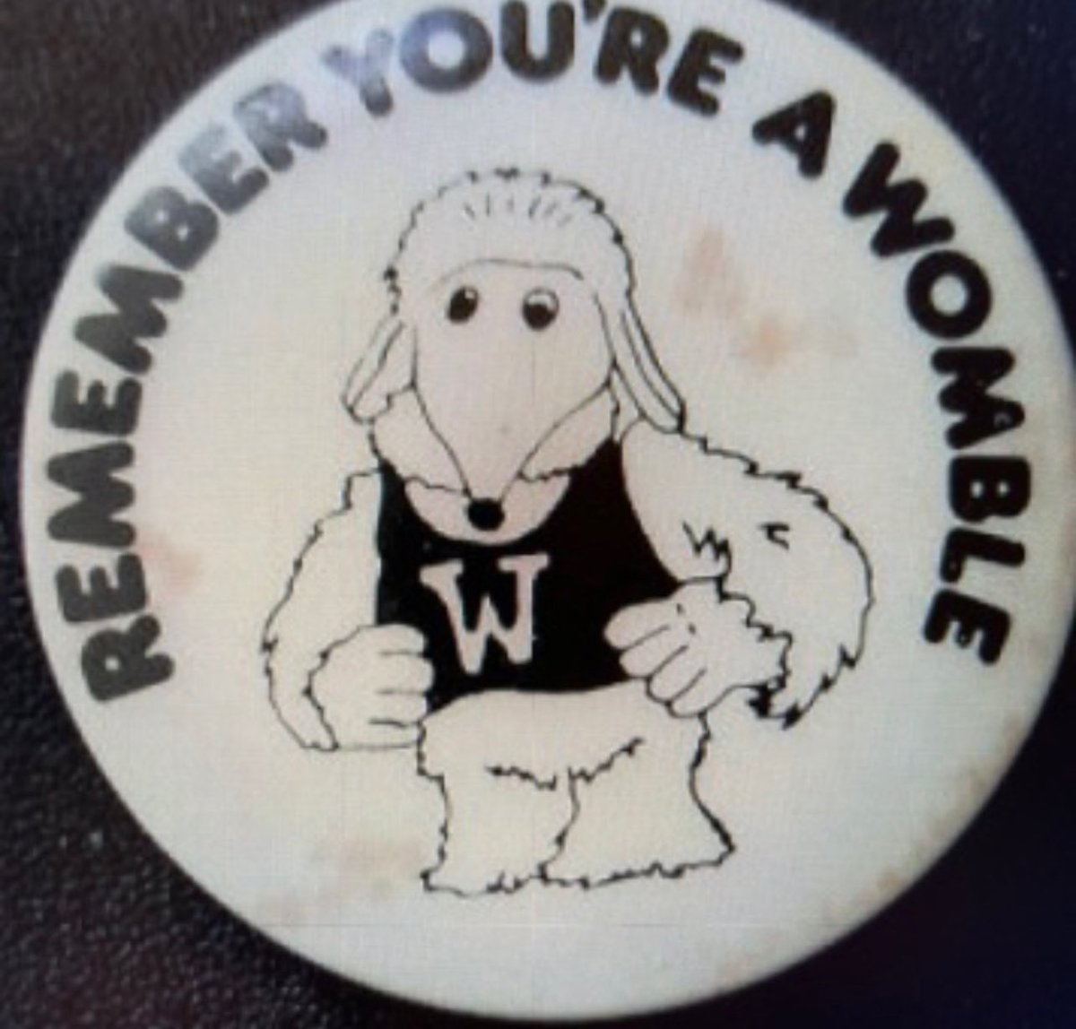 Agnetha’s wears her “Remember You’re A Womble” badge that I gave her this week 50 years ago, for the band’s winning performance at Eurovision. 🎶🥳