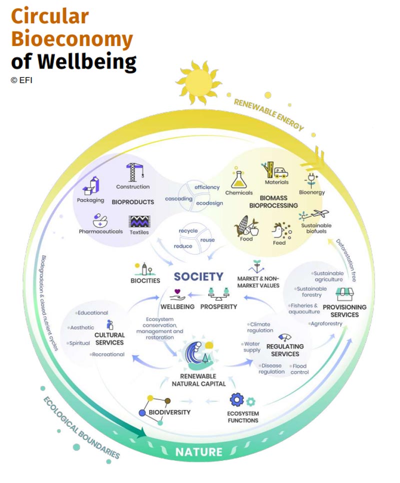 Dive into the concept of circular #bioeconomy of wellbeing with this insightful figure 🌿🌍💚 Have a look at this @europeanforest Knowledge to Action publication to discover the 10-Point Action Plan to catalyse a Circular Bioeconomy of Wellbeing! 🔎 doi.org/10.36333/k2a02