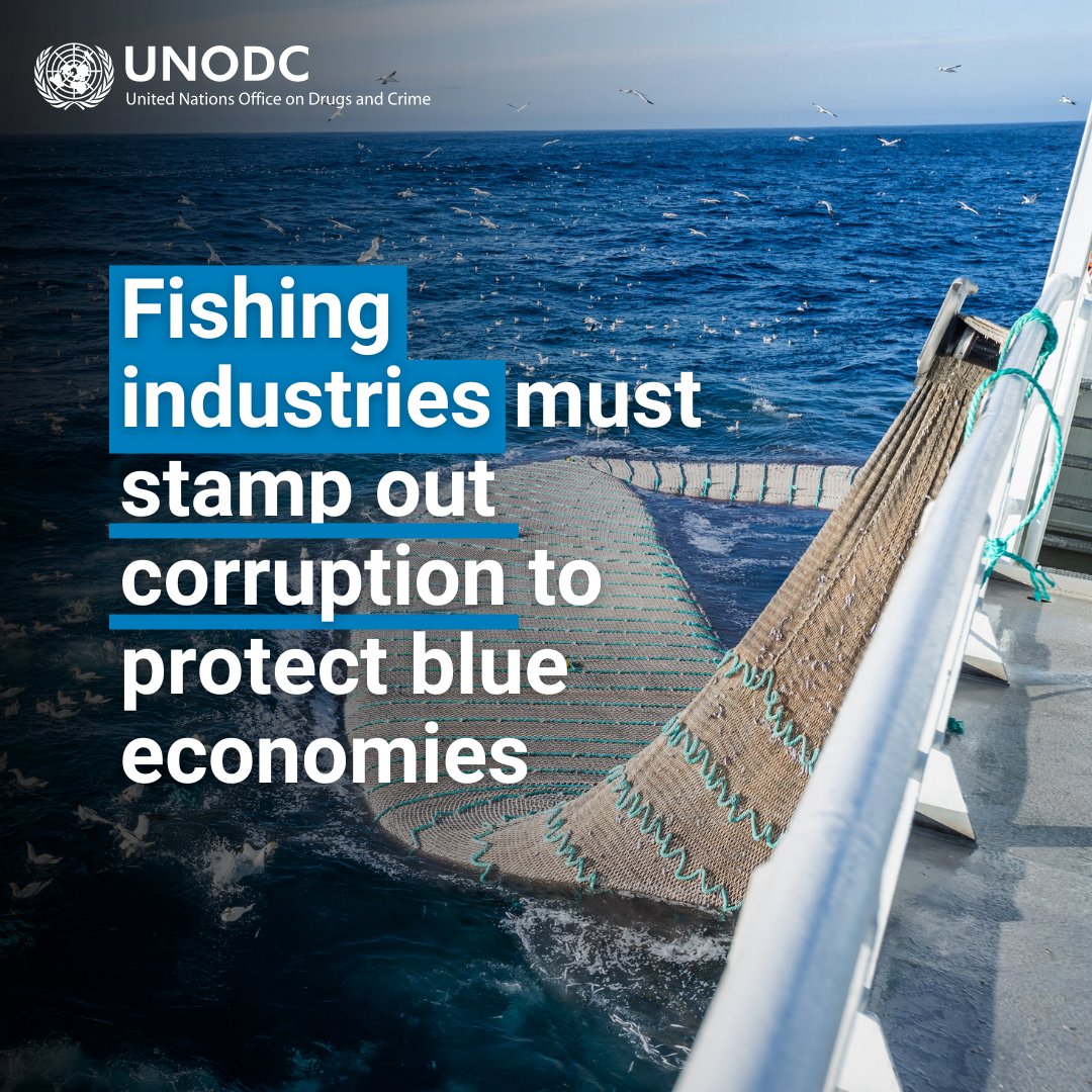Corruption undercuts law enforcement's ability to tackle crimes in fisheries. Without addressing corruption, efforts to regulate the sector will fall short. Explore the #RottenFish guide: bit.ly/2Sr13OW #OceanDecade24 #endENVcrime