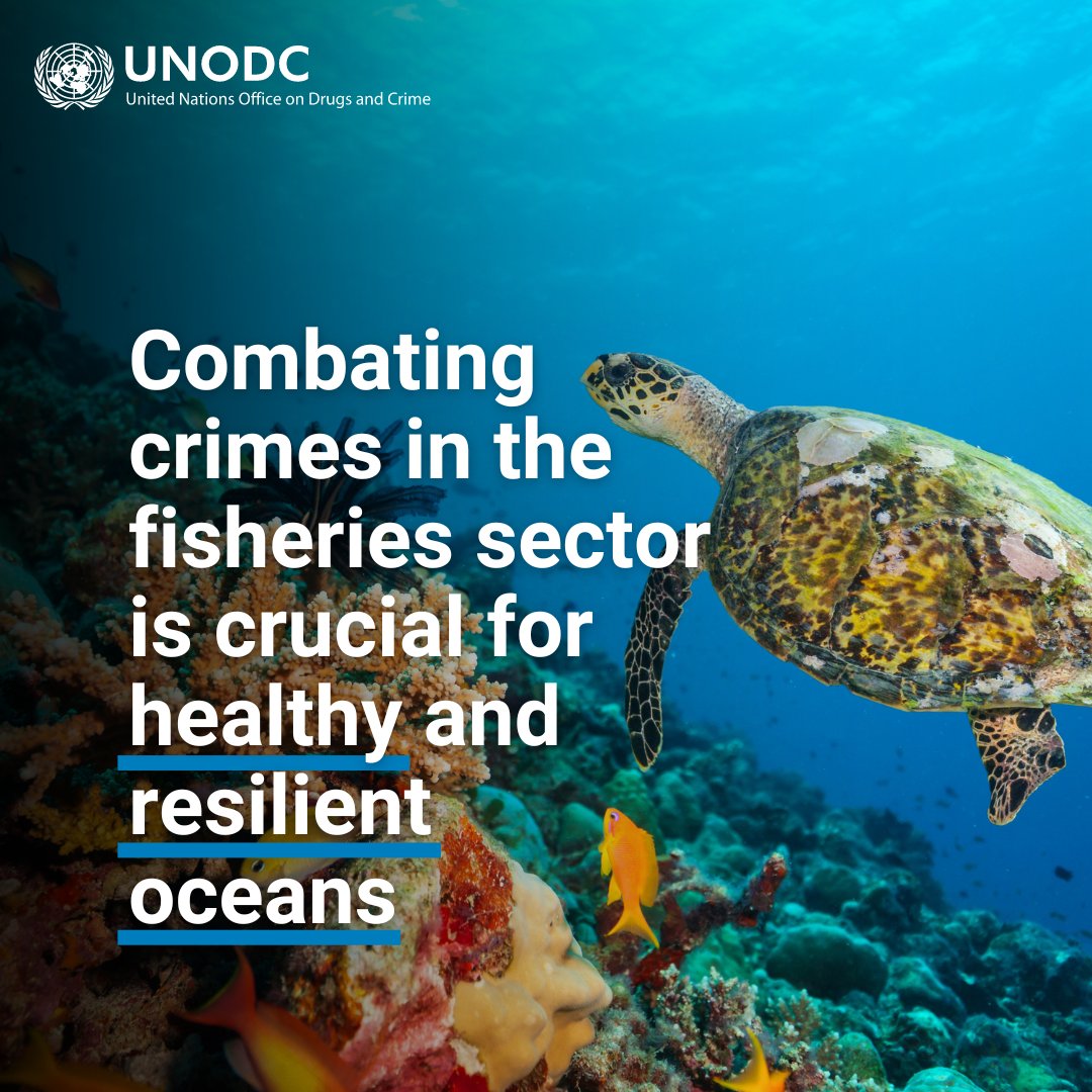 The @UNOceanDecade conference takes place this week. Let’s push for increased efforts to combat crimes in the fisheries sector, which sabotage efforts to protect marine ecosystems. #OceanDecade24 #endENVcrime #crimesinfisheries