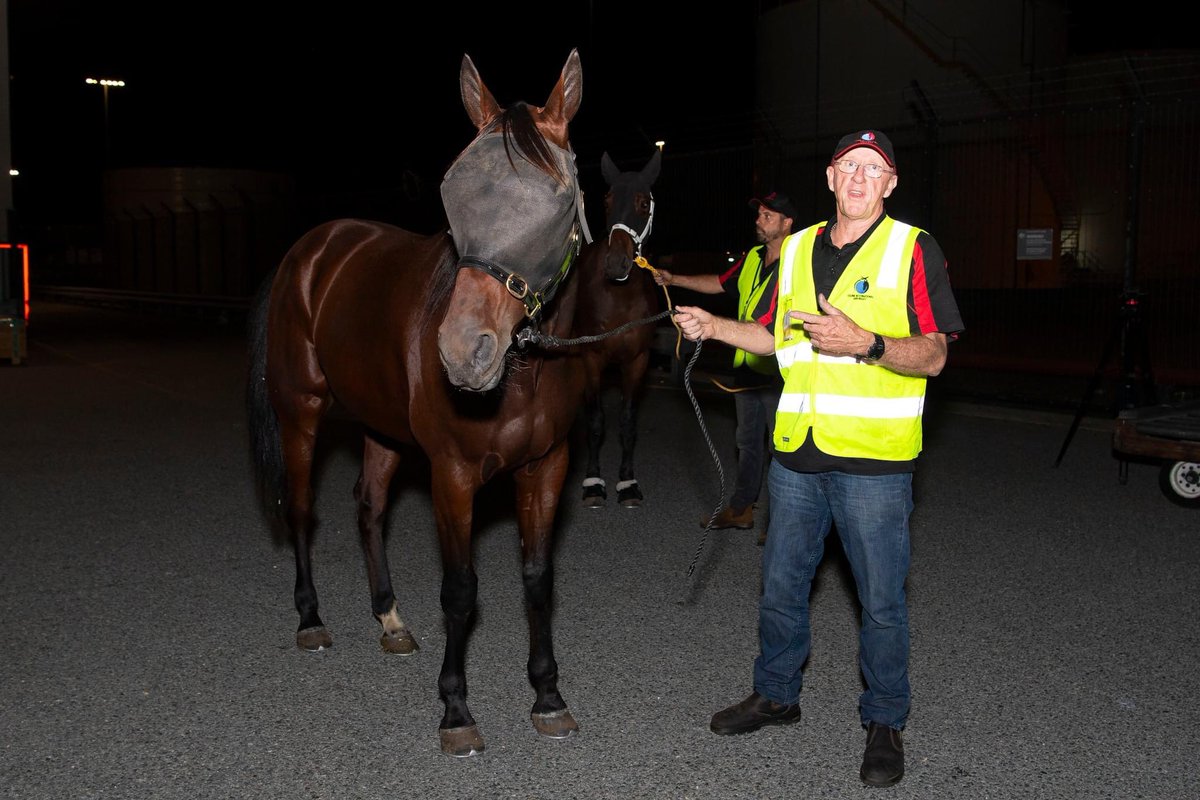 The stars from the east have arrived ✈ Catch A Wave, Hot And Treacherous and Spirit of St Louis flew to Perth last night ahead of Australasia’s richest Group 1 race, The @TAB_touch Nullarbor. The $1.25 million race will take place at @GloucesterPark on Friday April 19.