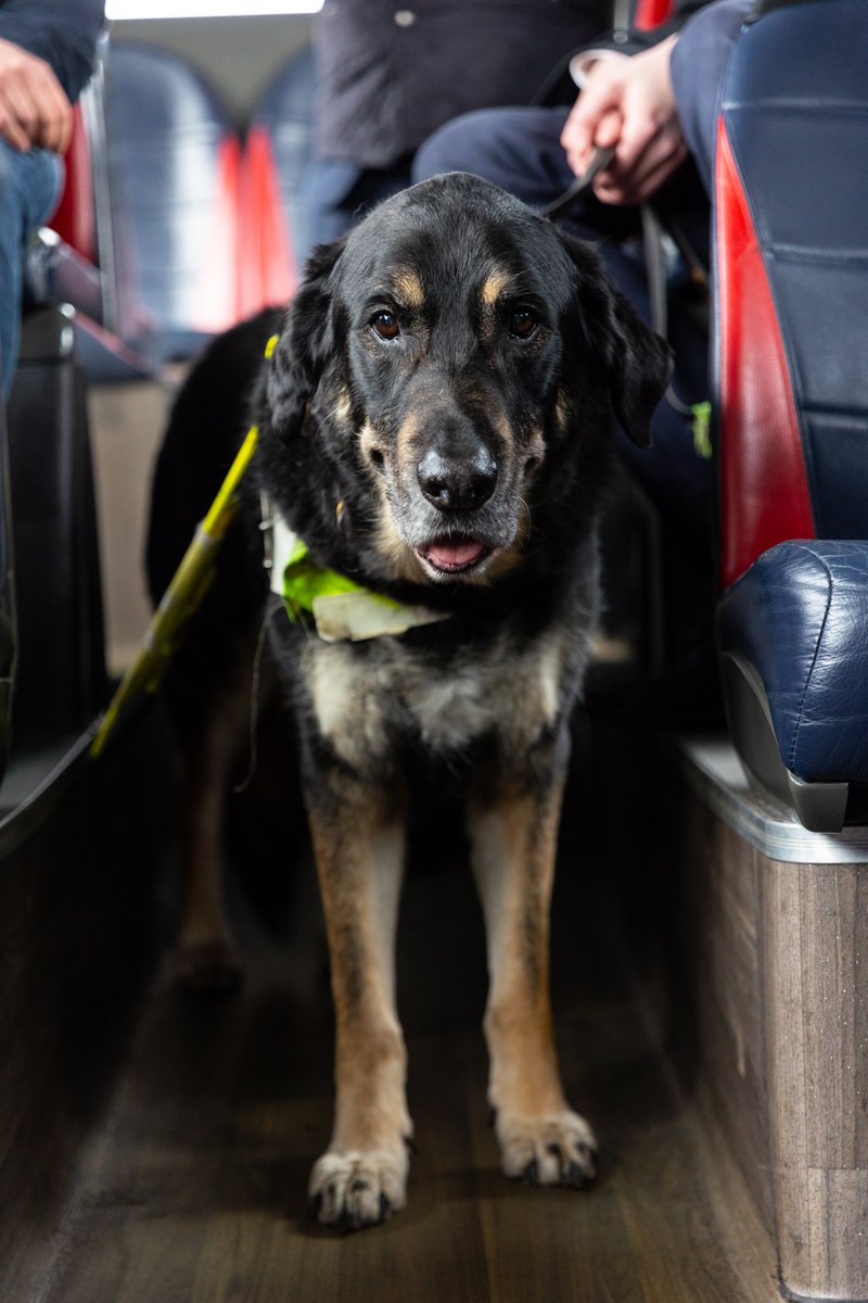 Department for Transport tweet media