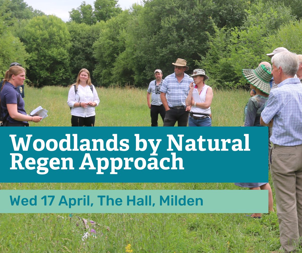 Still a few places on next week's Woodlands by Natural Regen approach event at Milden Hall, Juliet Hawkin's farm woodland. @SaveTurtleDoves @WoodlandTrust @ForestryComm @LarkingGowen @CLAEast @FramFarmers @yanafarming Booking details below: eventbrite.co.uk/e/woodlands-by…