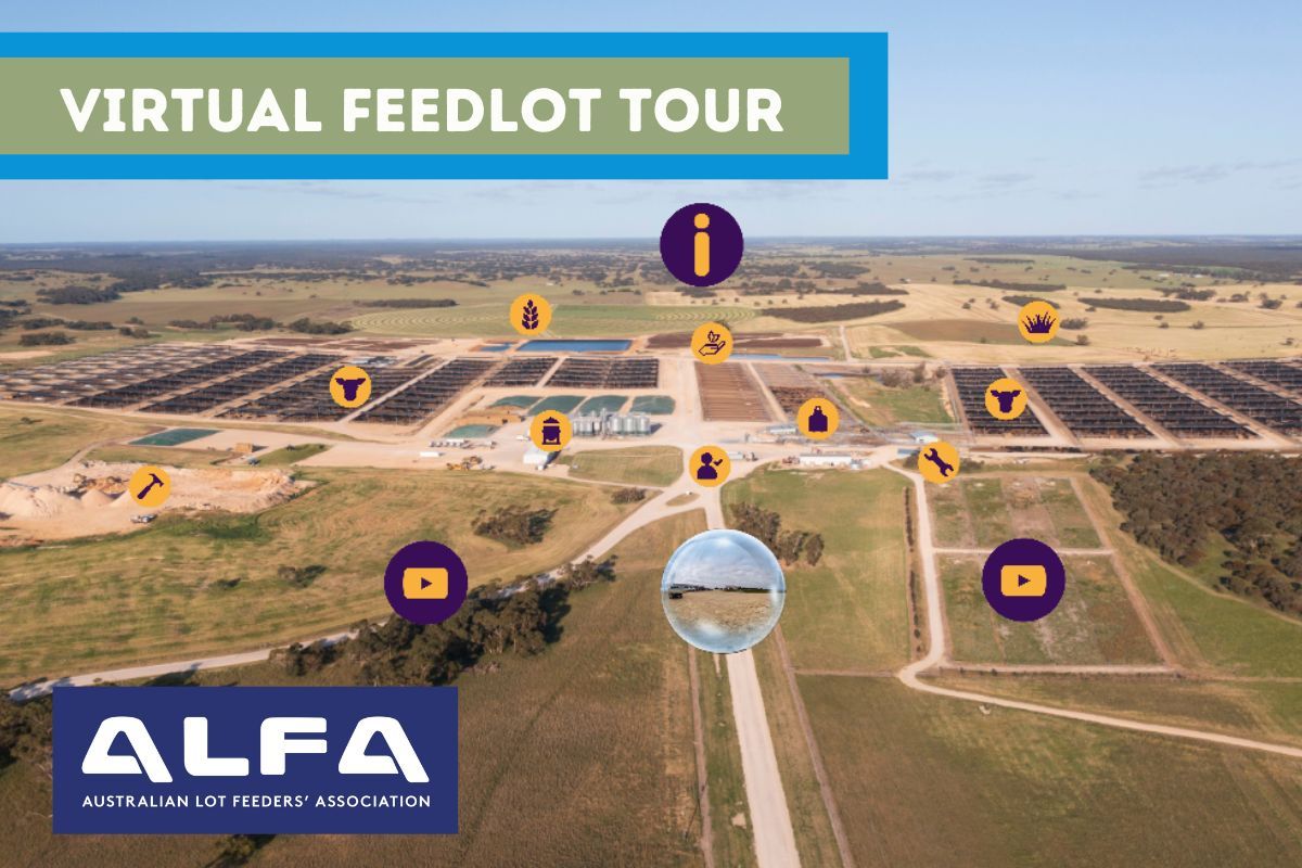 The Australian Lot Feeders' Association is excited to introduce their new Virtual Feedlot Tour resource. This user-friendly tour features a comprehensive 360-degree walkthrough of a feedlot, complete with information on each area and interesting facts. 👉buff.ly/43Gsqoj