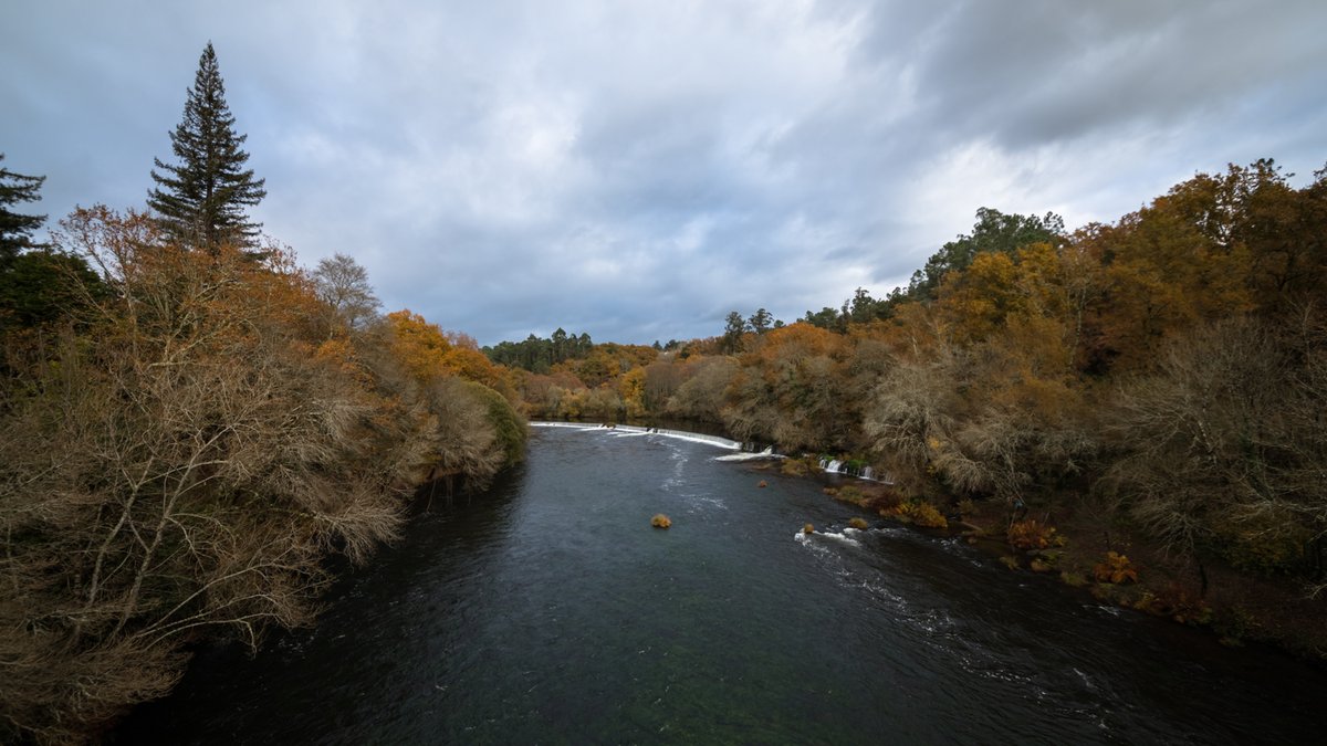 Río Ulla no Xirimbao.  #Galiza #AltriNon #PorUnhaUlloaViva #DefendamosaNosaAuga #celulosasfóra #EucaliptosNon
@UlloaViva #ulloa #NaturePhotography