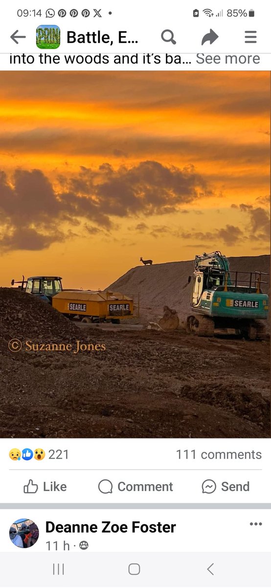 carolyncursive's tweet image. Wow @RotherDC look how you've displaced wildlife. Lining the pockets of developers who are decimating the countryside building huge houses in an area where huge houses aren't needed.