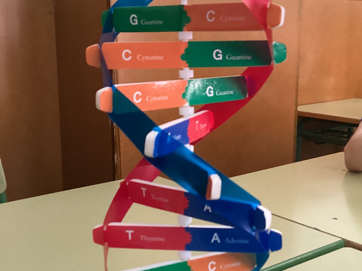 Ana Guirao tweet media