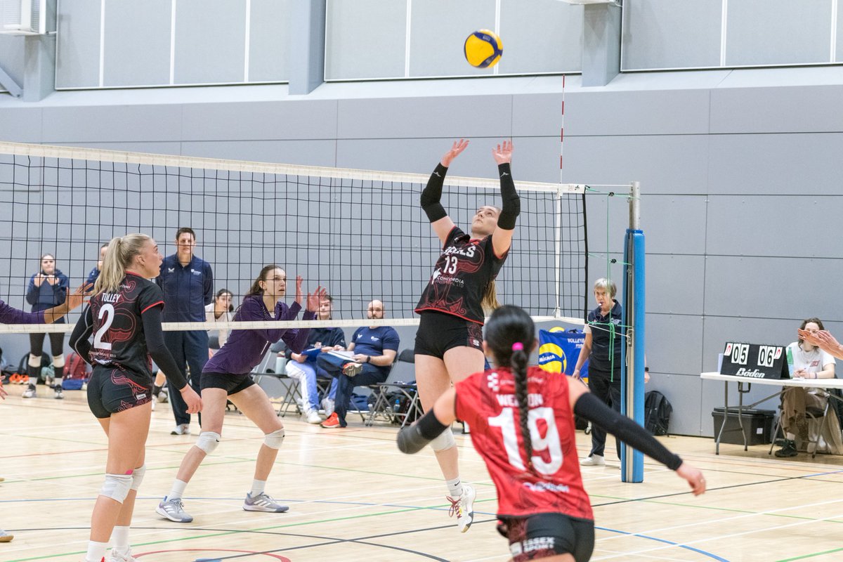🏐 | PROPOSED CUP AND SHIELD RESTRUCTURE 🏆 | Read how - and why - it is being proposed that changes are made to how the two competitions will run in 2024-25. 🗨️ | There is also the chance for teams to offer feedback. 🔗 | tinyurl.com/mrk6r6fe #volleyballengland