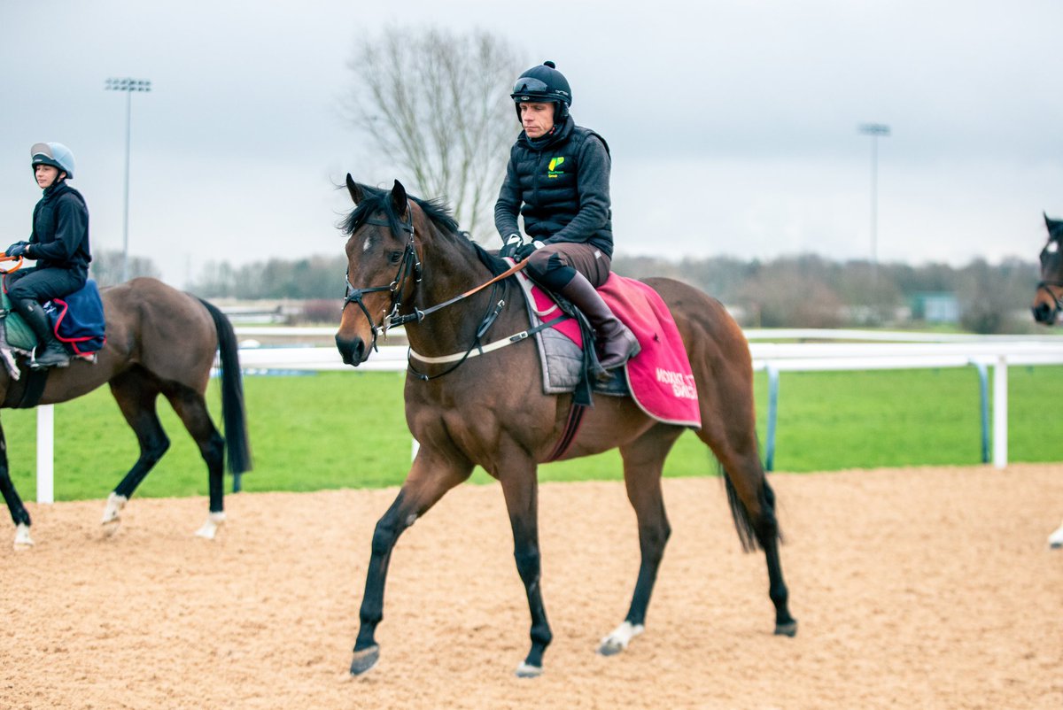 It’s raceday! 🏇🏼 Sycamore is making his Coral Racing Club debut in the 7:00 this evening at @Southwell_Races. @phillip_dennis rides for @ScottPJDixon. Good luck to all of our owners for the day! 🤞