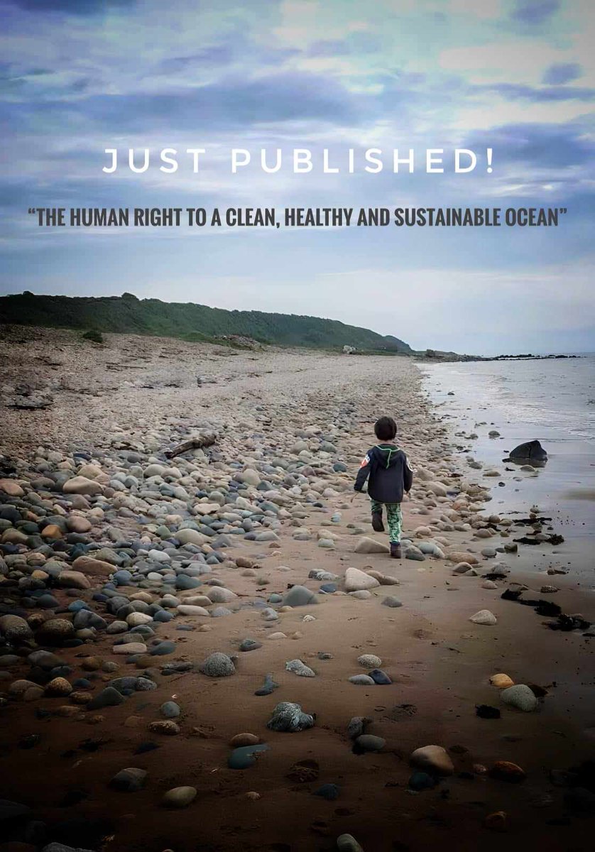 The article published on npj Ocean Sustainability seeks to engage ocean scientists, managers and decision-makers to engage with the transformative potential of the #humanright to a healthy environment to enhance ocean governance. tinyurl.com/4n4cfsb7 #OceanDecade24 #ourocean