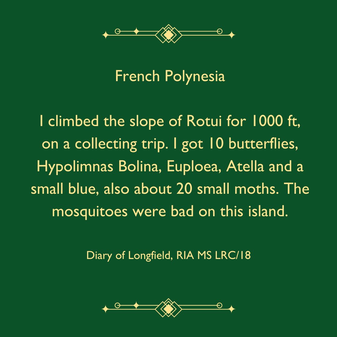 FREE LECTURE. Not too late to pop along to our lunchtime lecture TODAY if you're in Dublin city centre! Come hear about entomologist, Cynthia Longfield, and her role in the St George expedition of 1924! ria.ie/library-luncht…