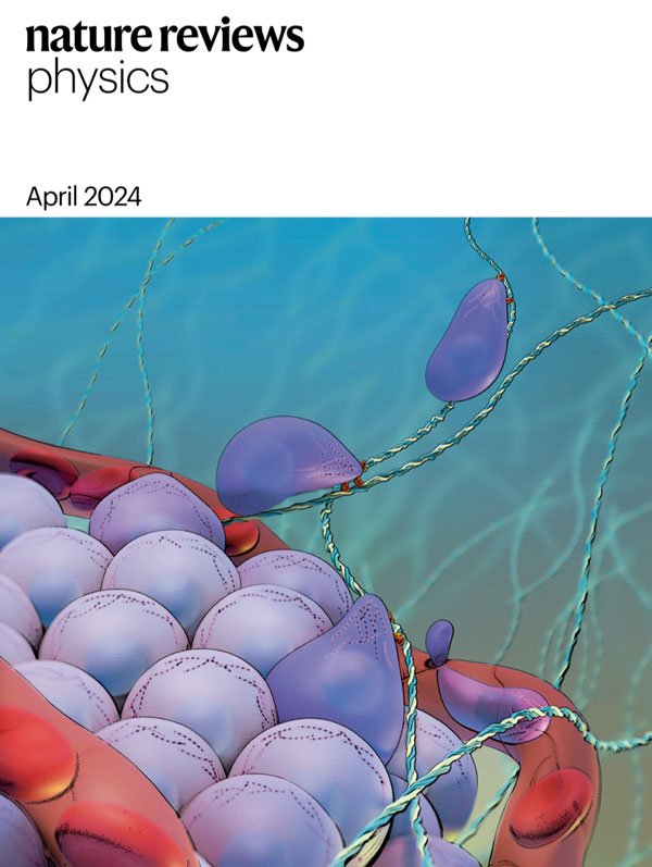 Reviews in our April issue: ❇️Photophysical properties of materials for high-speed photodetection 🌊Controlling water waves with artificial structures ⭕️How multiscale curvature couples forces to cellular functions ⚙️Mechanical properties and their implications for human cancer