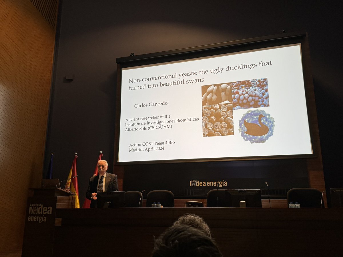 The Final Conference for @yeast4bio is taking place at @IMDEA_Energia in Madrid🇪🇸 with two exciting days ahead. The sessions started with a very interesting opening lecture given by Professor Carlos Gancedo. 

#Nonconventional_yeasts #biotechnology #biobased_products