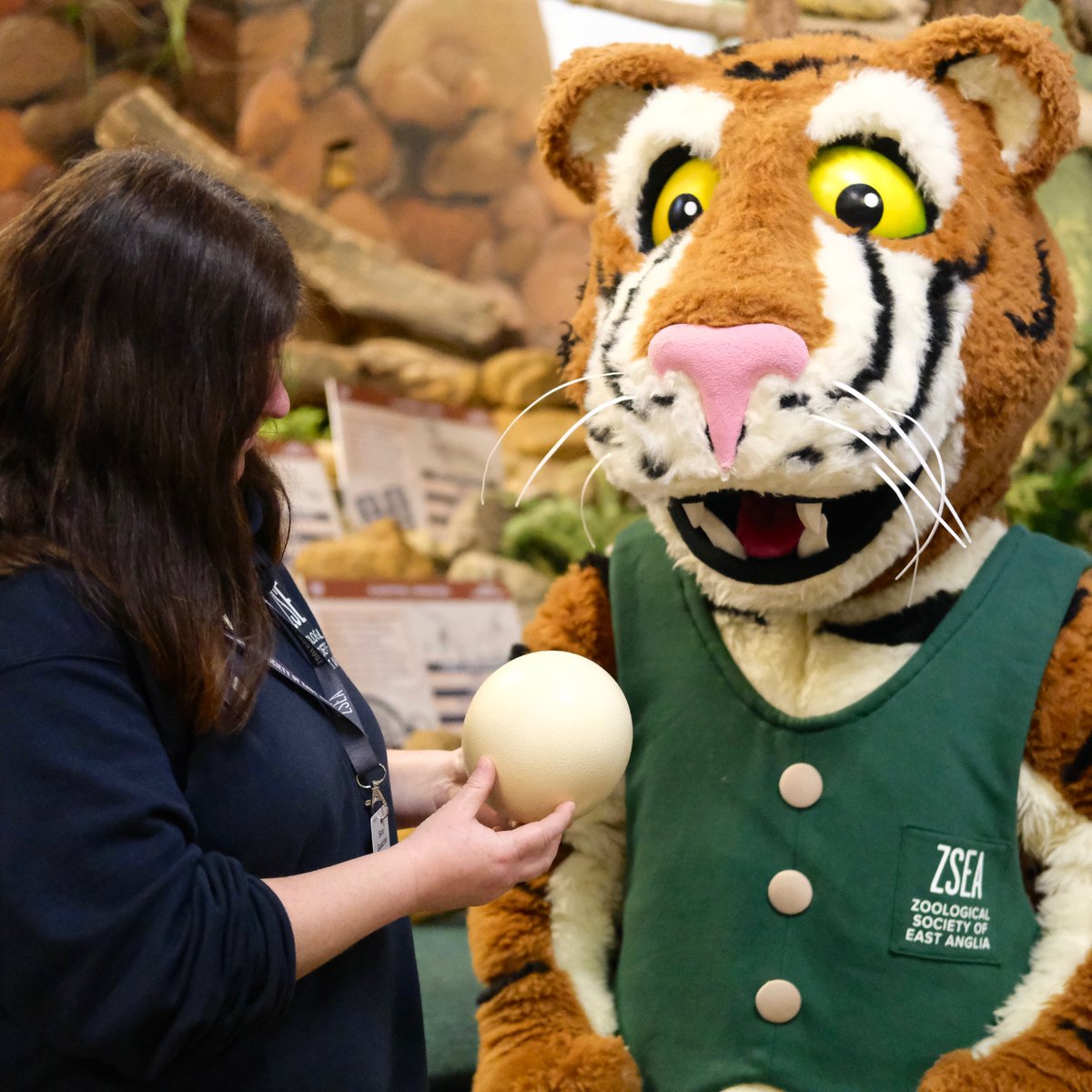 There's still time to catch 'Reggie Presents: The Amazing World of Eggs' this Easter 🥚 Join our Education Team and help Reggie identify our mysterious egg! The show runs twice daily at 11:30am and 1:30pm, and you might even have the chance to meet Reggie too!