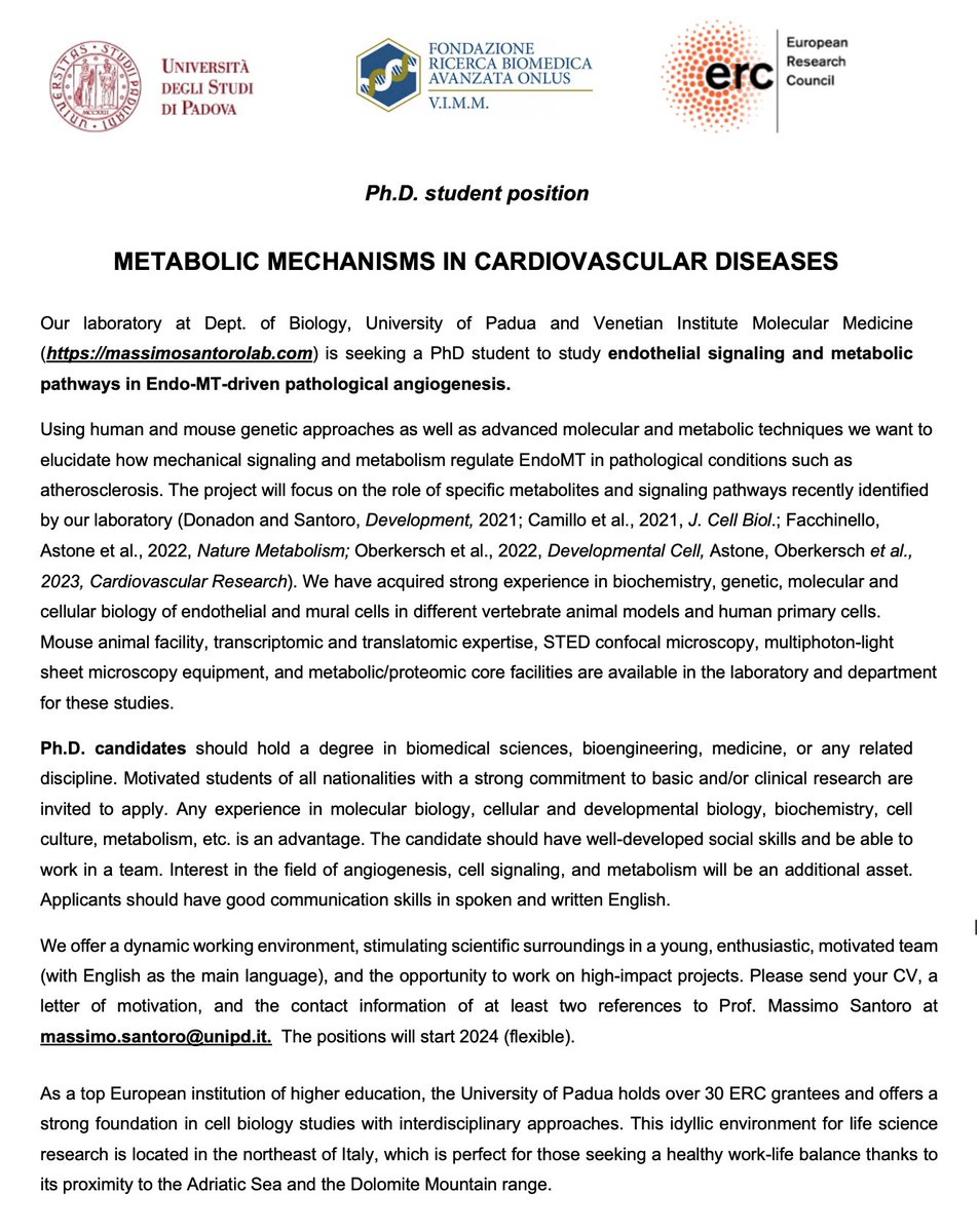 TheSantoroLab's tweet photo. We are looking for PhD students eager to study metabolic mechanisms in cardiovascular diseases https://t.co/xzjqukET0w
