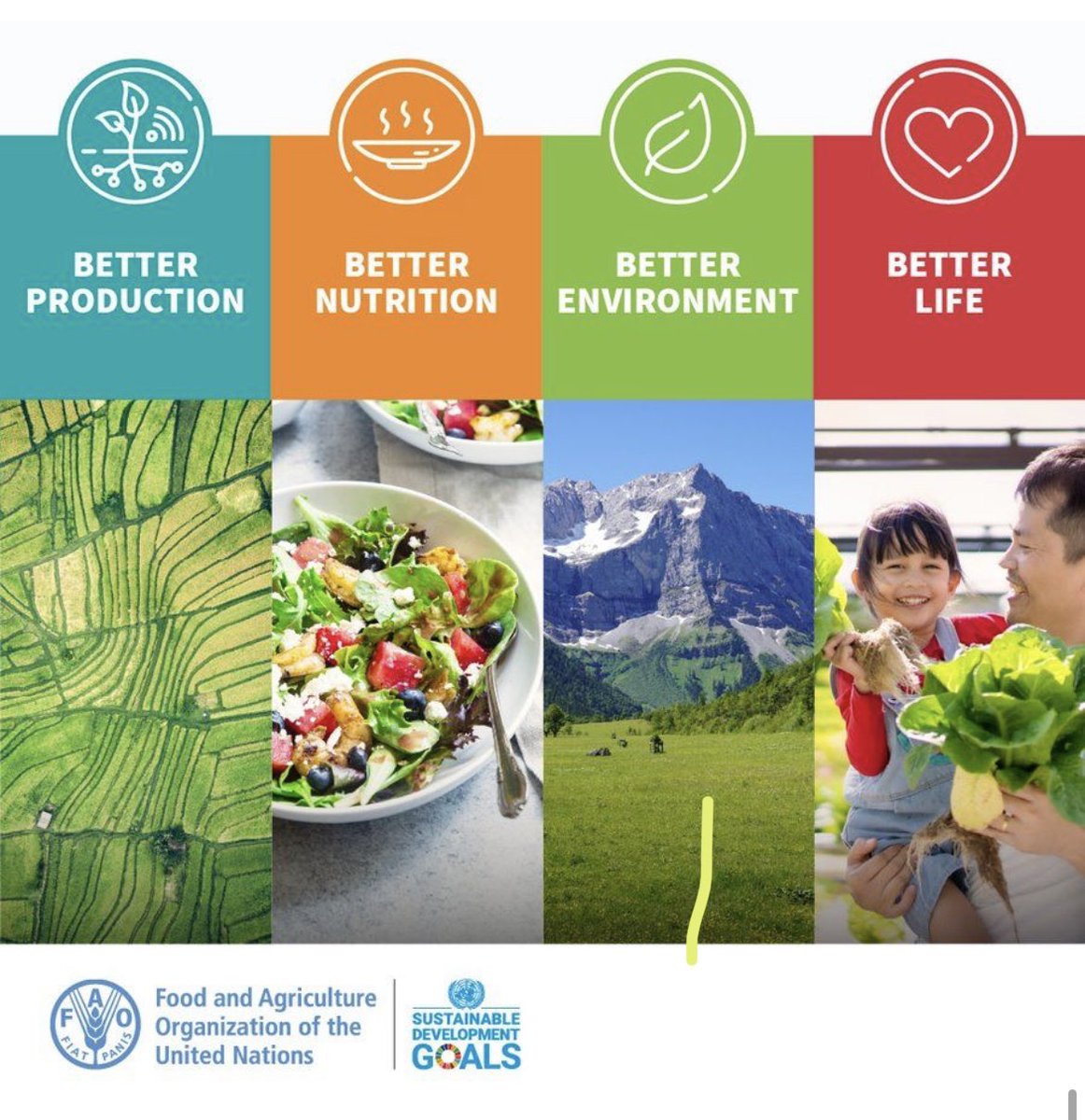 FAO Sustainable Development Goals  #4Betters 

#BetterProduction
#BetterNutrition
#BetterEnvironment
#BetterLife
Let’s work together & strengthen our food security. 
A sustainable & food secure nation is possible if we work together 
leaving no one behind
@presidencymv 
@MoEDmv