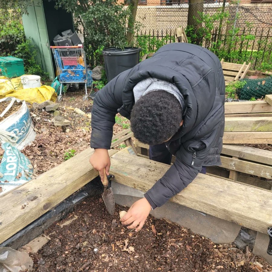autismvoice1's tweet photo. In the garden, we planted potatoes and onions. We can't wait to see how they turn out. #GardeningforWellbeing #AutismAcceptance #AutisticsWellbeing https://t.co/CkVmDgIHbN