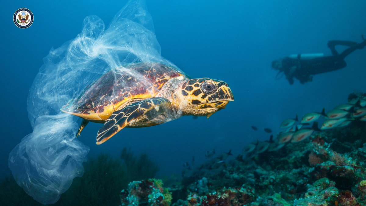 At the upcoming @OurOceanGreece, the United States looks forward to advancing ocean conservation, maritime security, sustainable fisheries, support for blue economies and tackling impacts on the ocean from pollution and the climate crisis. #OurOcean #OurOcean2024 @SciDiplomacyUSA