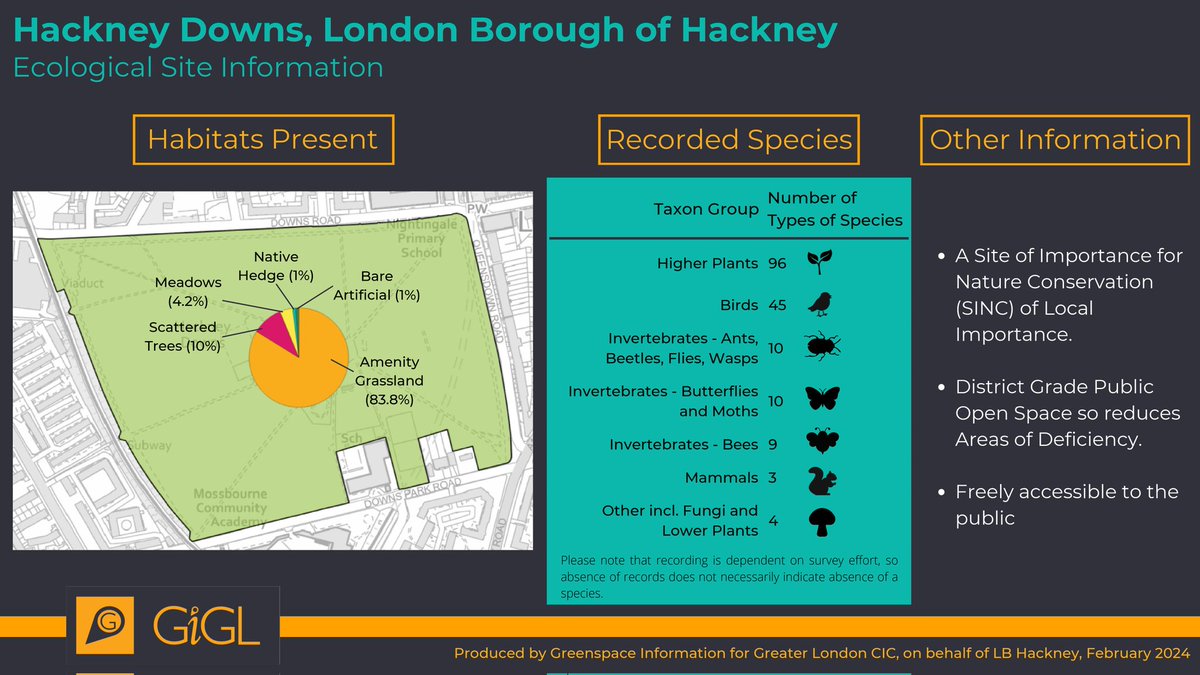 We're building the Hackney Buzzline, a pollinator corridor in London linking 4 parks. To help nature recover, we must first know its condition. @iGiGL tells us what we know about the parks. Today, Hackney Downs - 84% mown grass with 19 recorded bee, butterfly, and moth species.