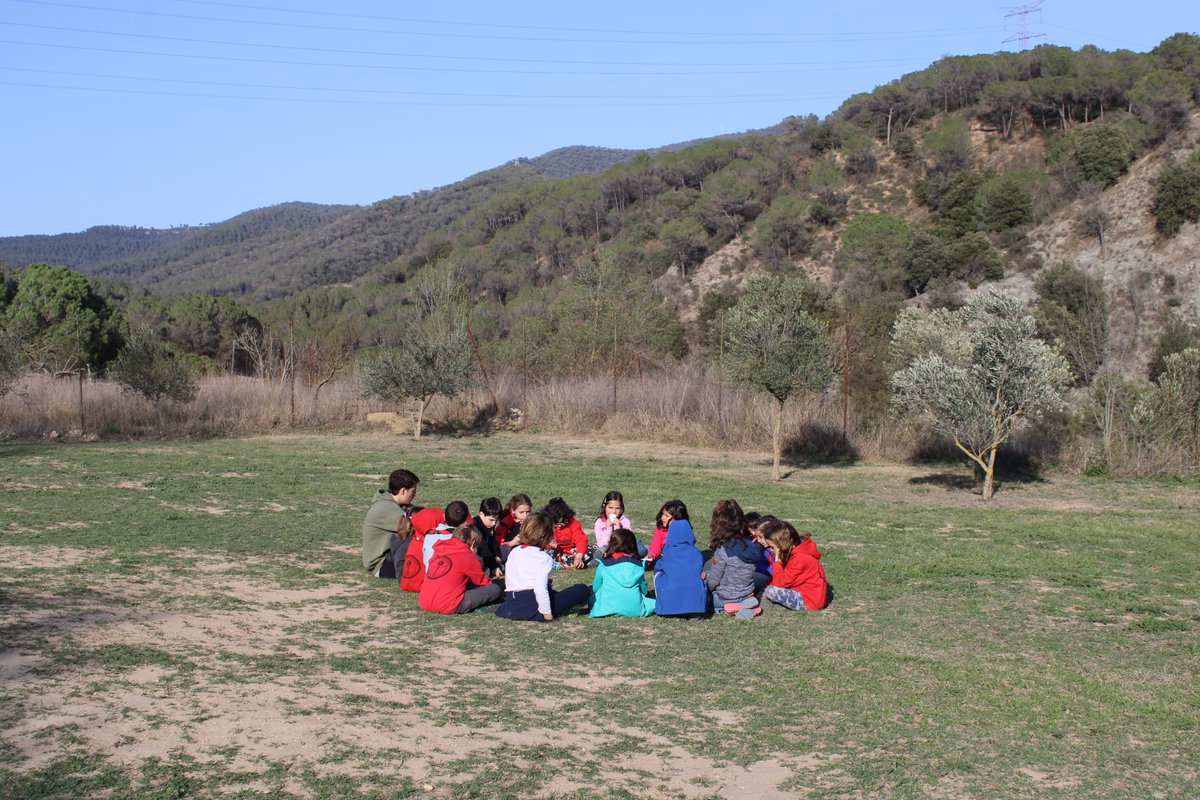AE Jaume Vicens Vives tweet media