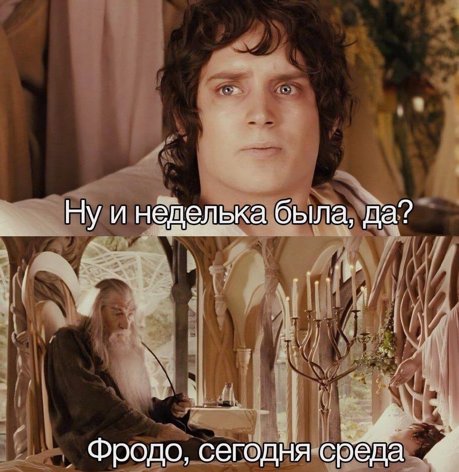 what a week, eh?

Frodo, today is Wednesday