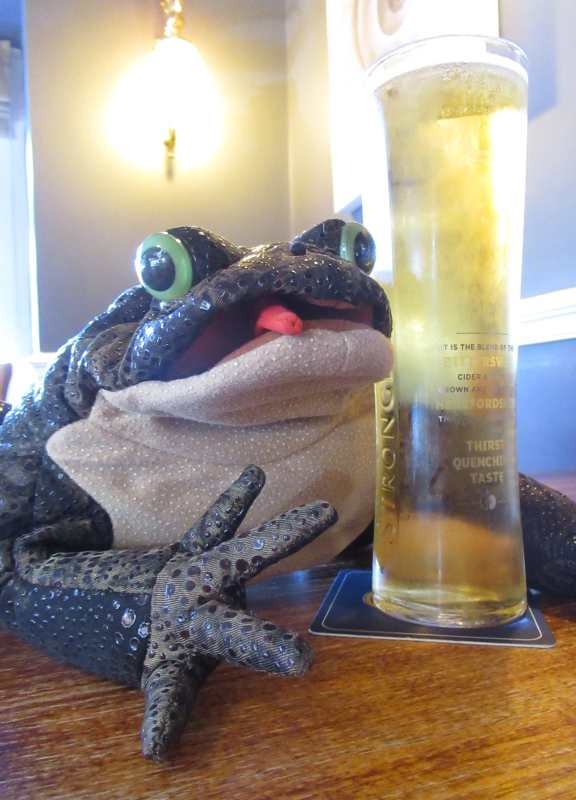 Pub #Jèrriais this evening; join the table with the toad at the Adelphi in The Parade @StHelierJsy 5.30-6.30pm for chat etc